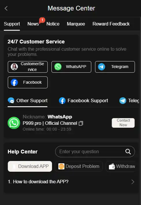 P999 Game APK